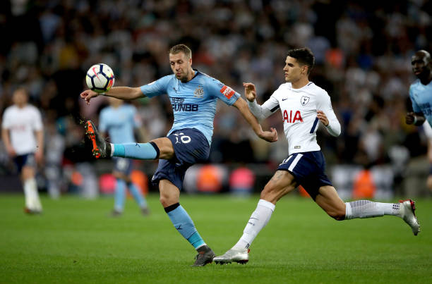 培养出一种 培养出一种